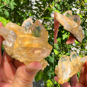Specimen - Grade Himalayan Clear Quartz Rough (Golden Raw Crystal) - Himalayan Whisper - 