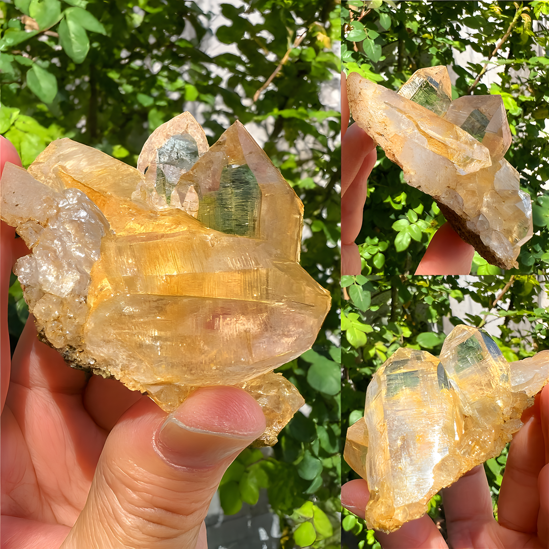 Specimen - Grade Himalayan Clear Quartz Rough (Golden Raw Crystal) - Himalayan Whisper - 